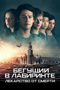 ÐÐµÐ³ÑÑÐ¸Ð¹ Ð² Ð»Ð°Ð±Ð¸ÑÐ¸Ð½ÑÐµ: ÐÐµÐºÐ°ÑÑÑÐ²Ð¾ Ð¾Ñ ÑÐ¼ÐµÑÑÐ¸ (2018)