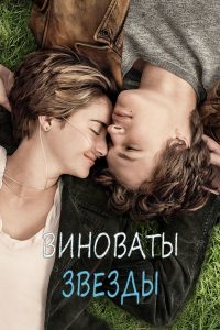 Виноваты звезды (2014)