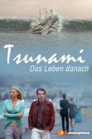 Tsunami – Das Leben danach (2012)