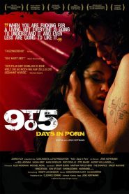 9to5: Days in Porn (2008)