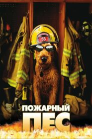 Пожарный пёс (2007)