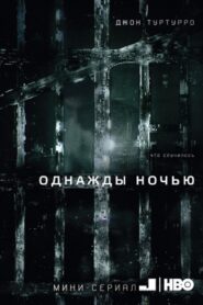 Однажды ночью (2016)