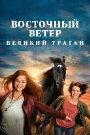 Восточный ветер. Великий ураган (2021)